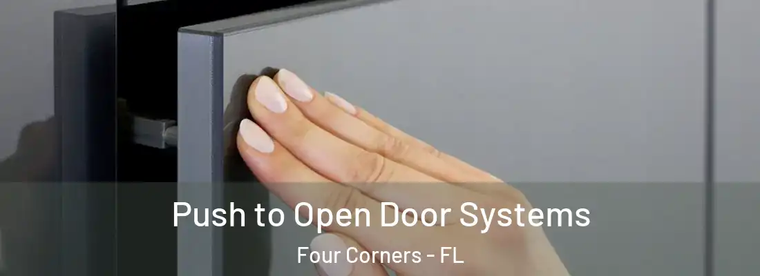 Push to Open Door Systems Four Corners - FL